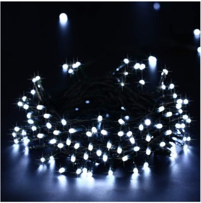 SLSL002-String Lights without Decor