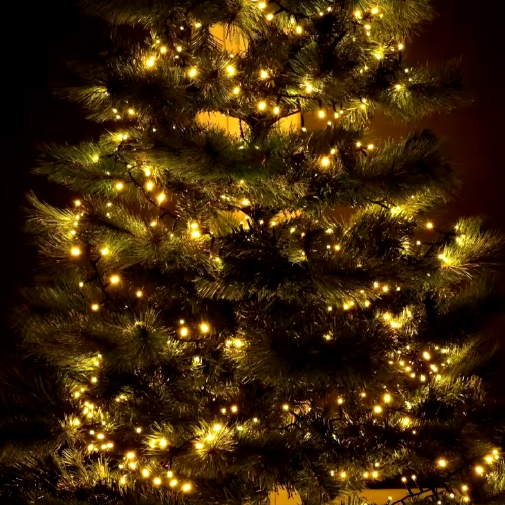 SLSL002-String Lights without Decor