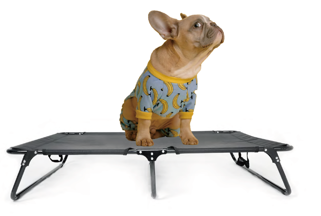 SLDB002-Elevated Pet Cot Bed